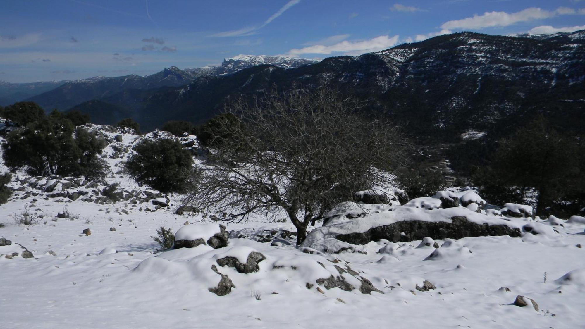 Casa Rural Fuente Zagrilla エクステリア 写真